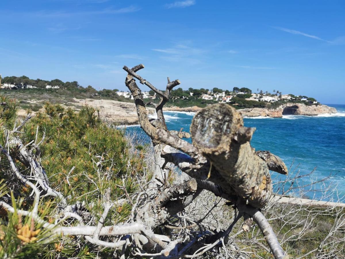 Finca Sa Fuente Felanitx Εξωτερικό φωτογραφία